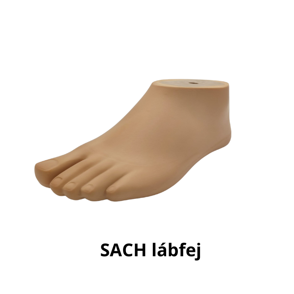 SACH SACH Lábfej
